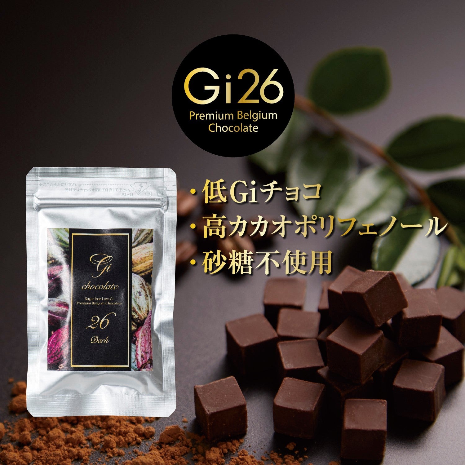 Gi26 ダーク