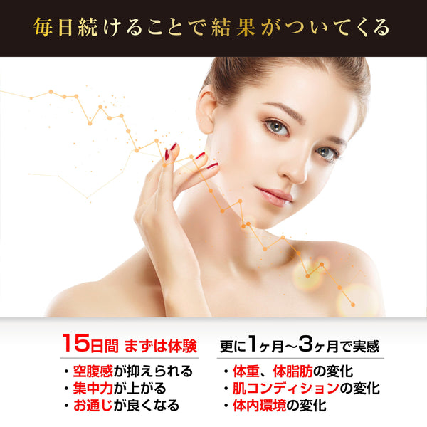 Gi26 ダーク